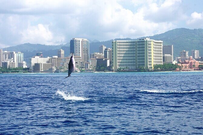 Private Boat Charter in Waikiki for Snorkeling and Events - FAQ