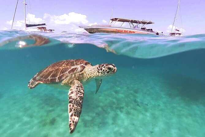 Private Boat Charter Saint Martin & natural reserve - Practical Details for Planning