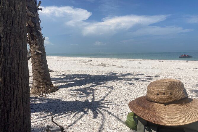 Private Boat Charters in Saint James - What You Can Expect from the Itinerary