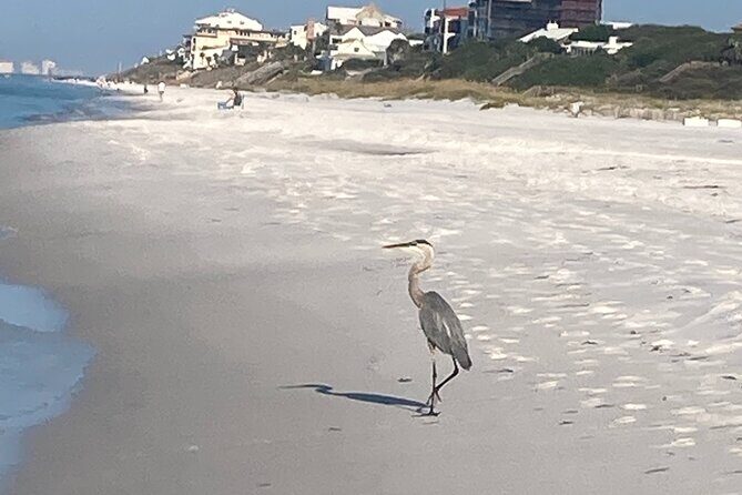 Private Boat Charters in Saint James - Who Is This Tour Best For?