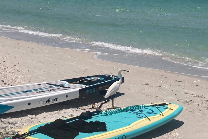 Private Boat Charters in Saint James - FAQs