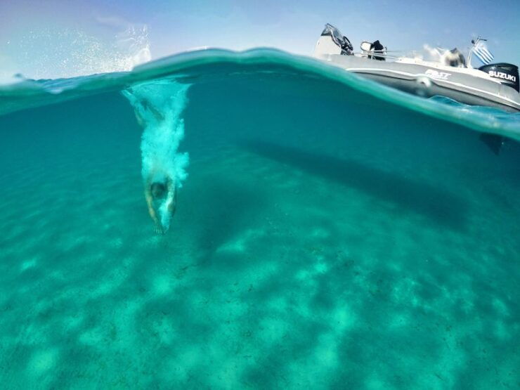 Private Boat Cruise to South Coastline of Mykonos - Unforgettable Beach Exploration