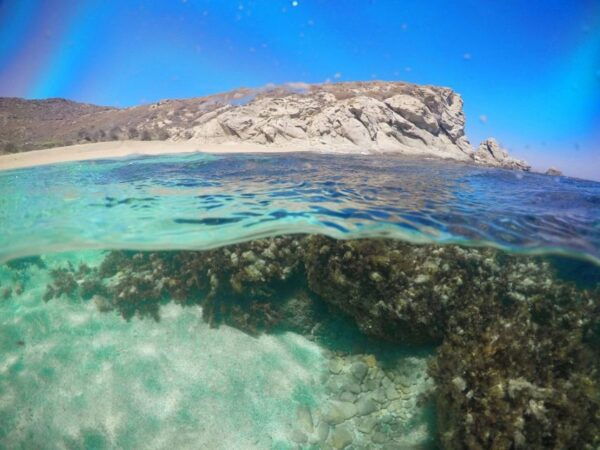 Private Boat Cruise to the South Coast of Mykonos - Common Questions