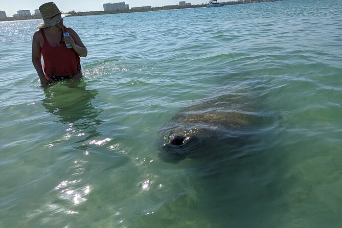 Private Boat Day Tour In Sarasota - Tour Operator and Product Details