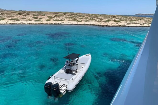 Private Boat Delos and Rineia Cruise Tour - Activities and Exploration
