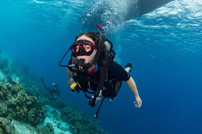 private Boat Dive charter with local guide and all Equipment - Introduction