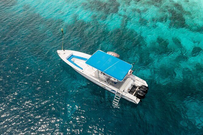 private Boat Dive charter with local guide and all Equipment - Good To Know