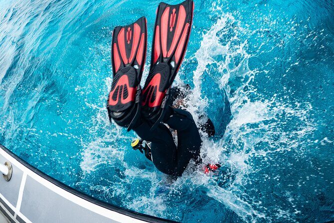 private Boat Dive charter with local guide and all Equipment - The Itinerary in Detail