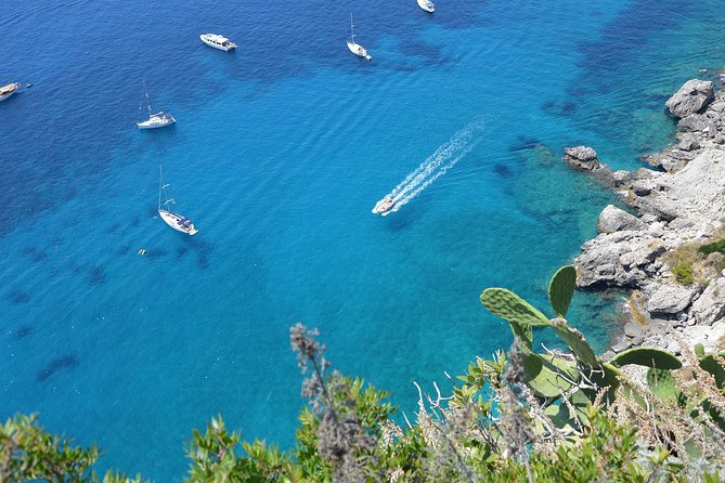 Private Boat Excursion From Sorrento to Capri and Positano - Inclusions