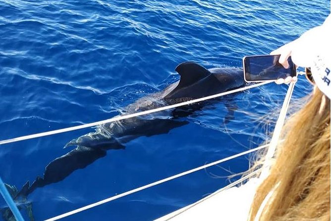 Private Boat Excursion in Tenerife - Traveler Photos