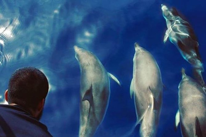 Private Boat Excursion in Tenerife - Reviews