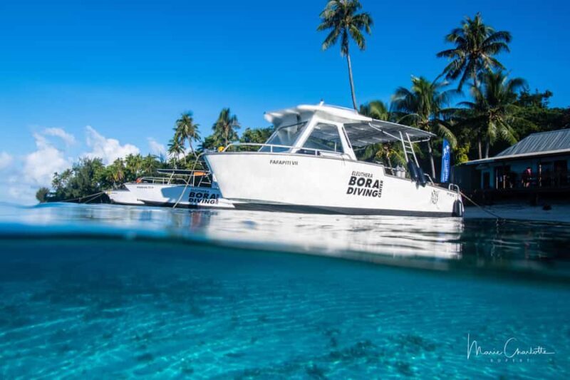 Private Boat for your Romantic Dive in Bora Bora - Good To Know