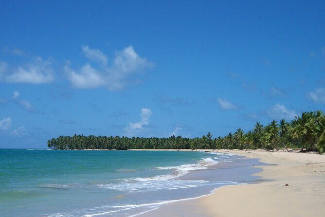 Private Boat Nature Tour of Limón Beach and Lagoon - Good To Know