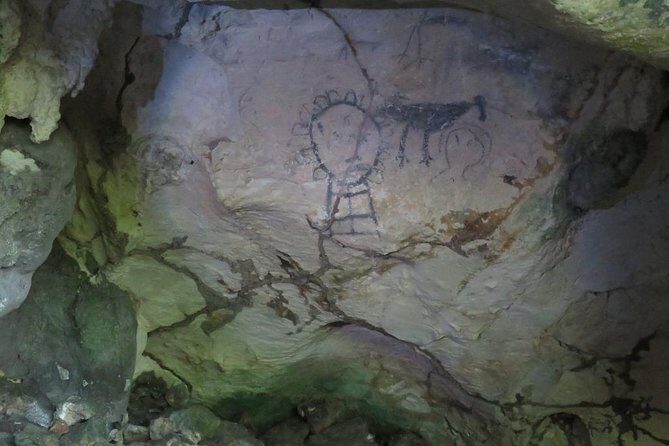 Private Boat Nature Tour of Los Haitises National Park - In-Depth Look at the Los Haitises Private Boat Tour