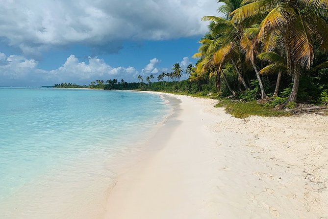 Private Boat Nature Tour of Saona Island - Itinerary