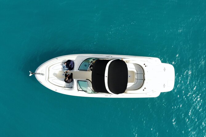 Private Boat Rental Sea Ray 295 for 10 People 8 Hours Ibiza-Formentera - The Sum Up