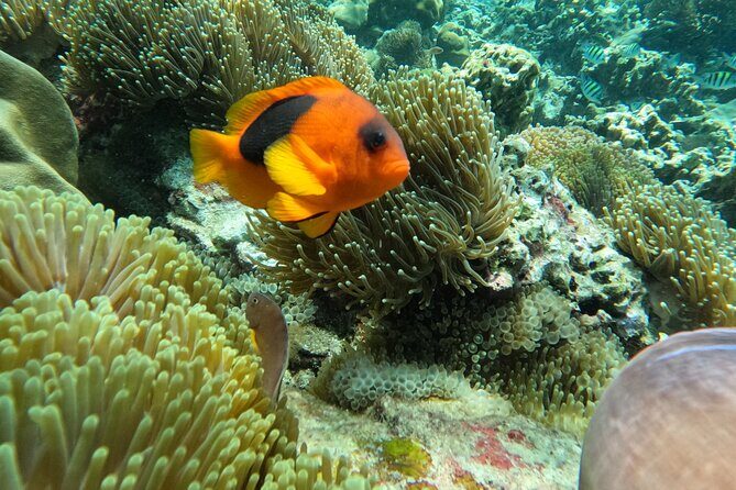 Private Boat Route B by Long Tail Boat - The Experience: What Reviewers Say