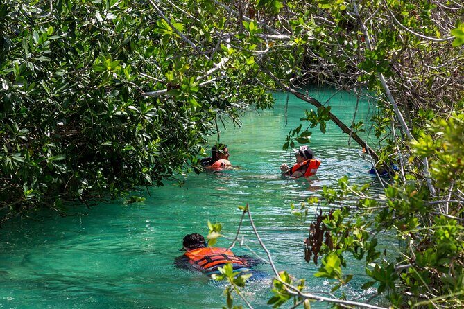 Private Boat Sian Ka'an Floating Ancient Mayan Canals and Tacos - Who Should Consider This Tour?
