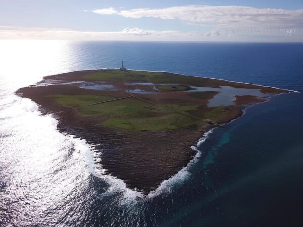 Private Boat Sunset Tour at the Island of S.Andrea Gallipoli - Frequently Asked Questions