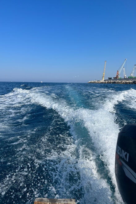 PRIVATE BOAT TOUR BETWEEN MONOPOLI AND POLIGNANO A MARE - Booking Process