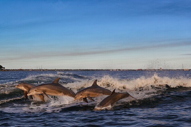 Private Boat Tour Dolphins Sunsets Shell Island and Snorkeling - Final Thoughts: Who Should Book This Tour?