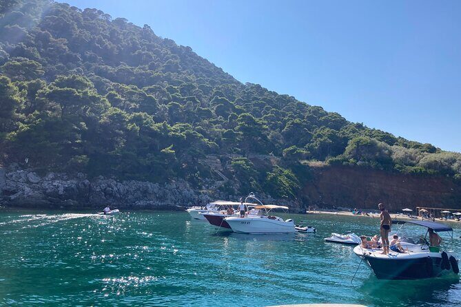 Private Boat Tour Dubrovnik and Elaphiti Islands - Who Is This Tour Best For?