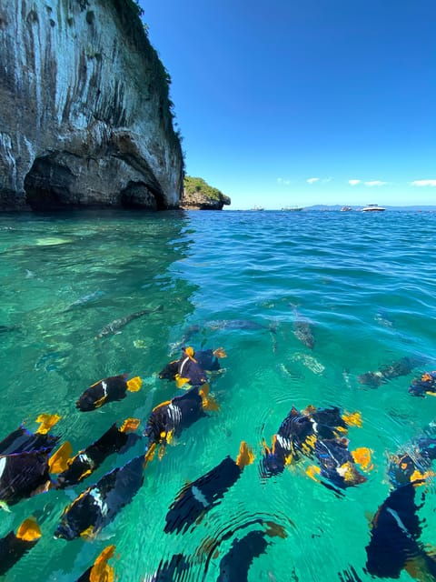 PRIVATE BOAT TOUR FULL DAY FOR 9 PEOPLE TO YELAPA & SNORKEL - Included Services
