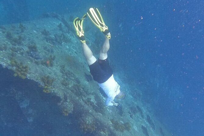 Private Boat Tour in Aruba - Practical Details: What You Need to Know