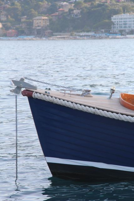 Private Boat Tour in Portofino Natural Park or Cinque Terre - Tour Details