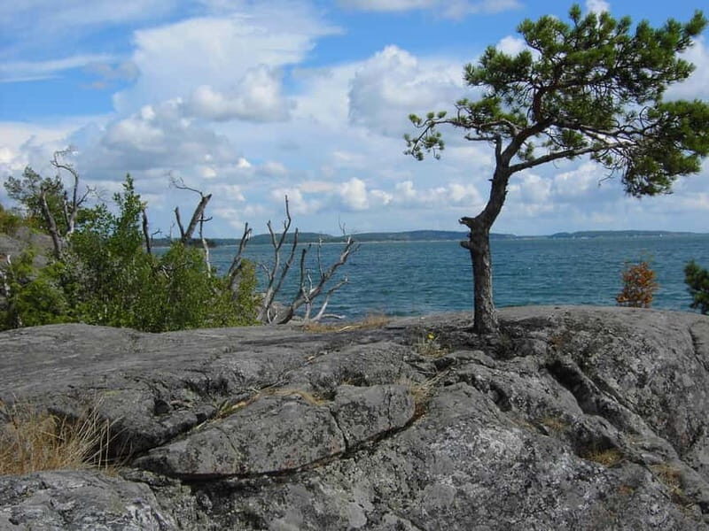 Private Boat Tour in Stockholm - Detailed Breakdown of the Experience