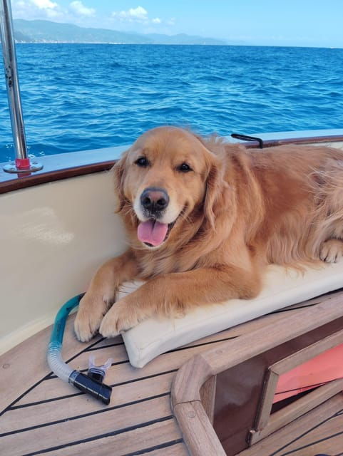Private boat tour in the Portofino Riviera - The Itinerary Breakdown