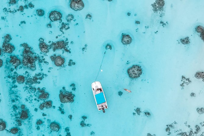 Private Boat Tour of Moorea Lagoon - Meeting and Pickup