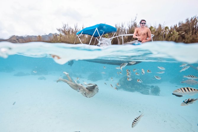 Private Boat Tour of Moorea Lagoon - The Sum Up