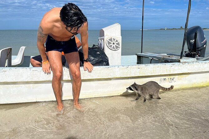 Private Boat Tour of Rio Lagartos - Who is This Tour Perfect For?