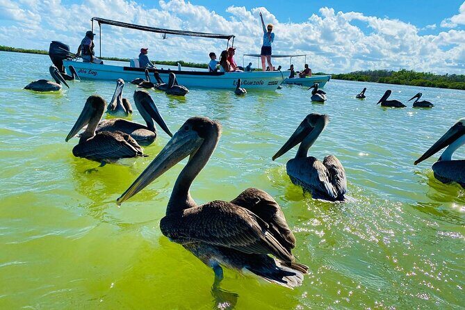 Private Boat Tour of Rio Lagartos - FAQ