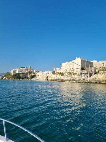 Private Boat Tour of the Coast With Swimming Stop. - Tips for Tour Enjoyment