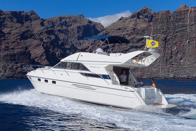 Private Boat Tour on Royal Ocean Yacht, Tenerife - Additional Information for Participants