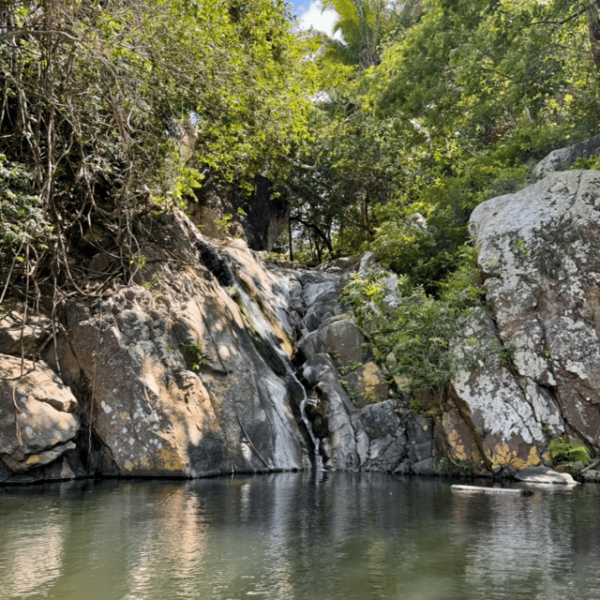 PRIVATE BOAT TOUR | SNORKEL | RESTAURANTS | YELAPA - Meeting Point