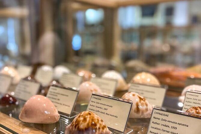 Private Boat Tour to Island Lokrum St Jackob Beach Betina Cave - Final Thoughts