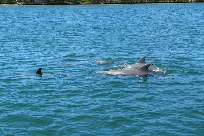 Private Boat Tours in N. Miami Beach - Sandbar, Sunset, Mansions! - Common Questions