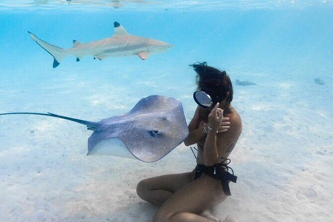 Private Boat Tours on Moorea Lagoon - Practical Details and Considerations