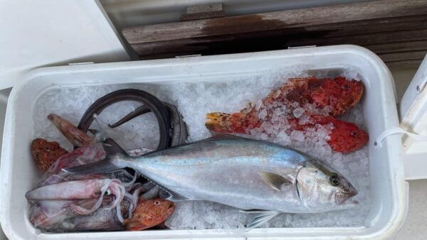 Private Boat Tours & Transfers Around Sibenik Archipelago. - Customizing Your Boat Tour Experience