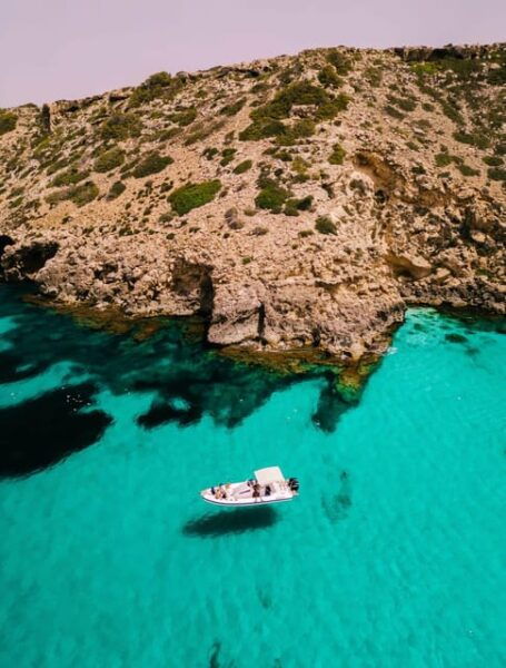 Private Boat Trip & Snorkel to Marine Reserve Mallorca - Customer Feedback