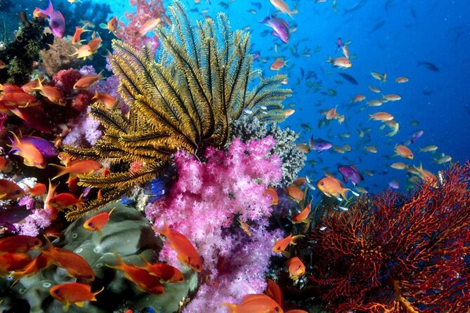 Private Boat Trip To 3 Islands In The South Of Phu Quoc (An Thoi) - Additional Information
