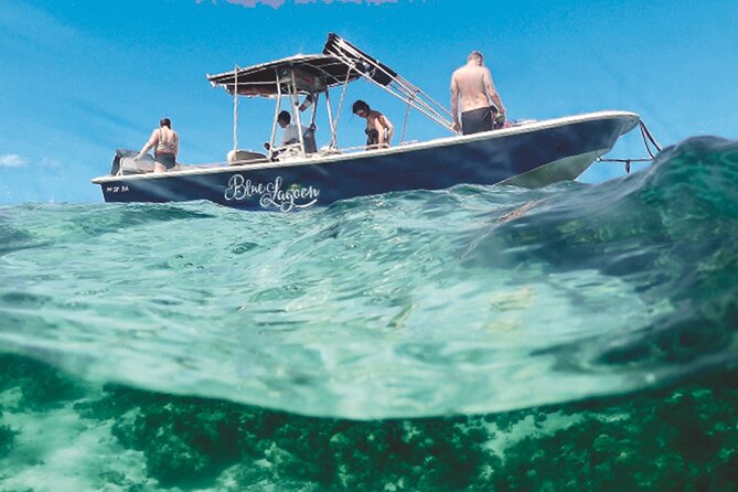 Private Boat Trip With Guide on the Most Beautiful Lagoon of Guadeloupe - Traveler Experience