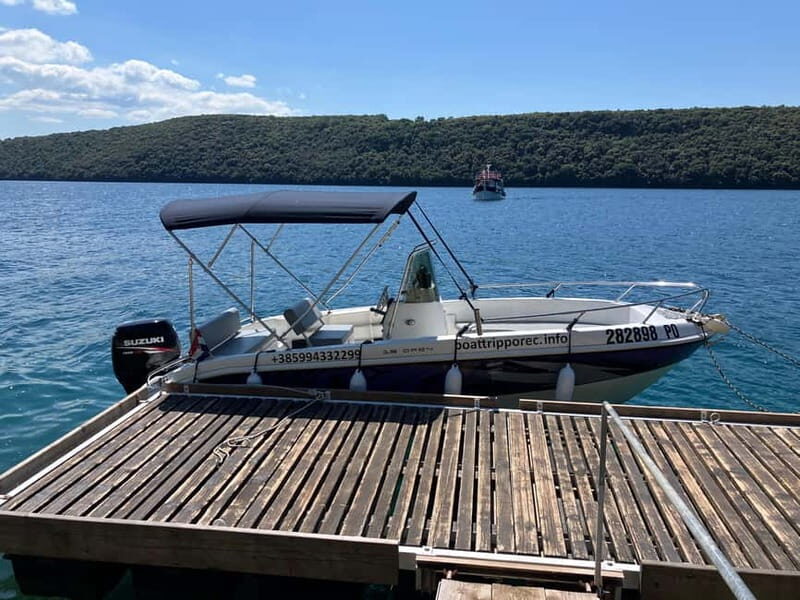 Private boat trips in Porec: dolphin watching, panoramic tour - Introduction: Exploring Porec from the Water