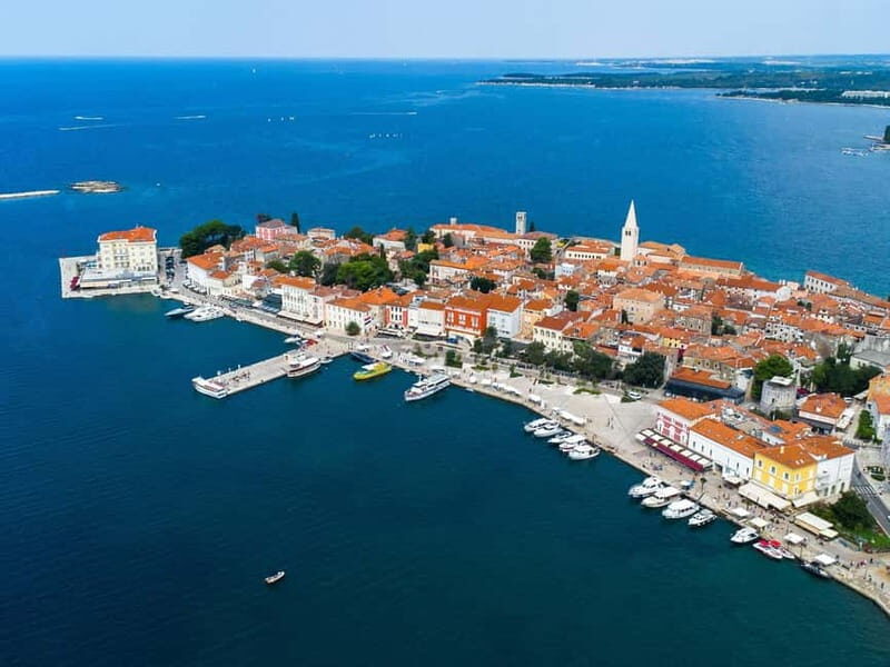 Private boat trips in Porec: dolphin watching, panoramic tour - The Authentic Experience: What Reviewers Loved