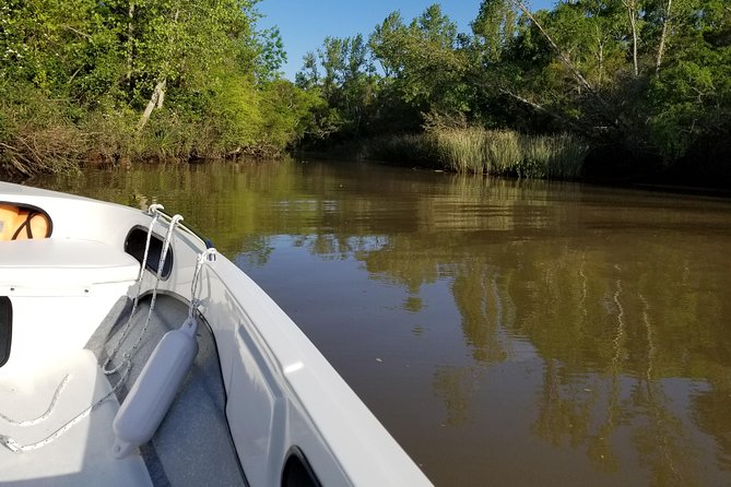 Private Boat TripTour to Tigre Delta - Tour Description