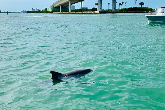 Private Boating On Pontoon Clearwater Beach - What To Expect