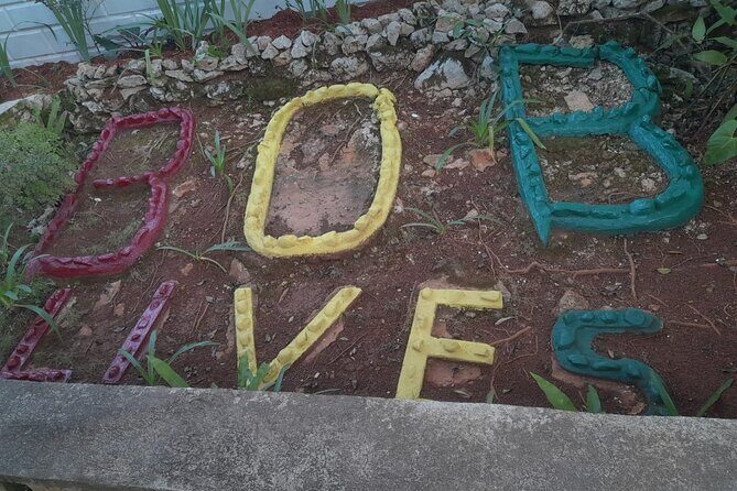 Private Bob Marley 9 Mile& Dunns River Adventures Fr. Montego Bay - A Closer Look at the Itinerary